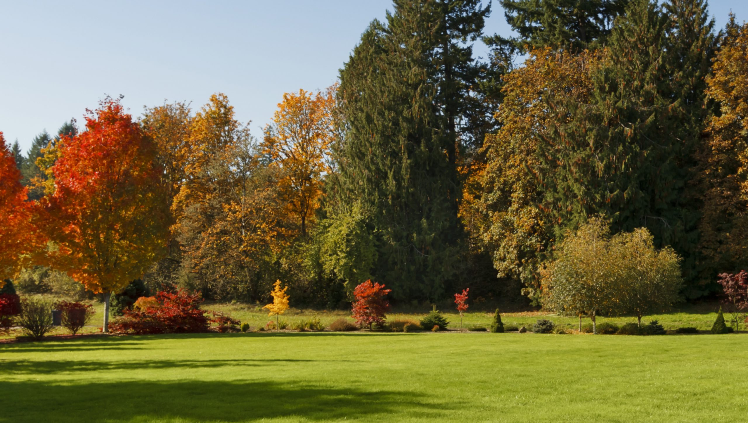 Autumn Lawn Fertiliser | AutumnGreen | SmartLawn lawn care UK